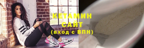 стаф Дмитриев